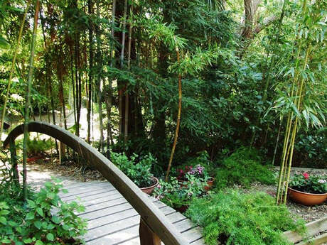 LE JARDIN EXOTIQUE