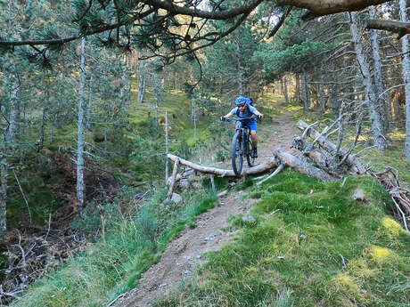 VTT 5 - LES DEUX VALLÉES À DÉVALER