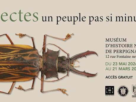 LES INSECTES, UN PEUPLE PAS SI MINUSCULE