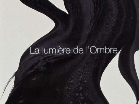 LA LUMIÈRE DE L'OMBRE (MATIÈRES NOIRES)
