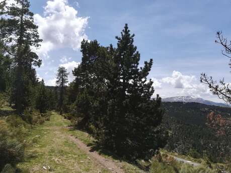 PR 92 - LA MARCHE DES CONTREBANDIERS