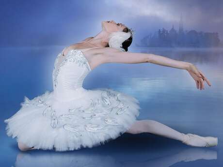 « LE LAC DES CYGNES »