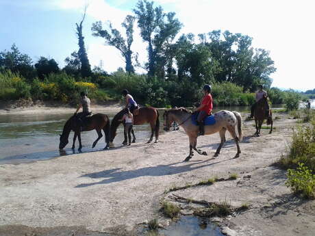 CENTRE EQUESTRE DE SAINT ESTEVE LE MAS COT