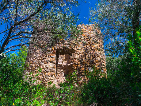 DU MOULIN AUX GOULEYROUS