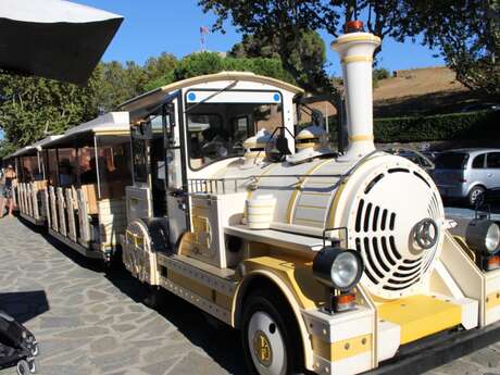 PETIT TRAIN TOURISTIQUE