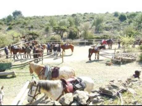 DOMAINE EQUESTRE DES ESCOUMETTES