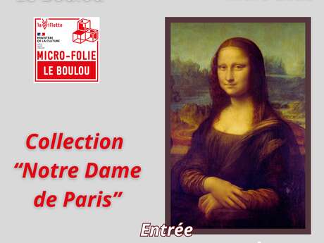 MUSÉE NUMÉRIQUE COLLECTION "NOTRE DAME DE PARIS"