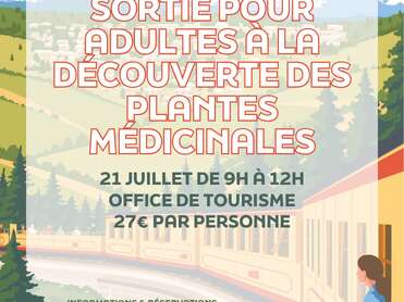 SORTIE POUR ADULTES À LA DÉCOUVERTE DES PLANTES MÉDICINALES - 21 JUILLET