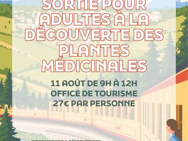 SORTIE POUR ADULTES À LA DÉCOUVERTE DES PLANTES MÉDICINALES - 11 AOÛT