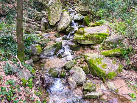 BALADE NATURE ET PATRIMOINE "LA FORGE MURMURE"