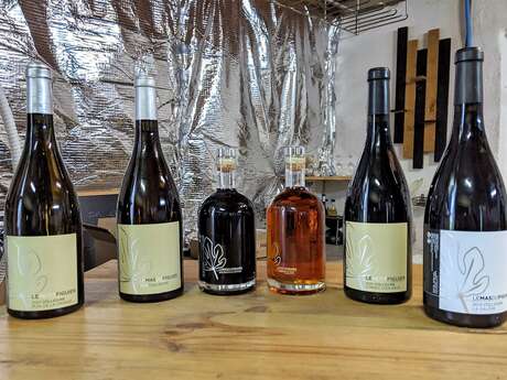 SOIRÉE OENOLOGIQUE AU MAS DU FIGUIER