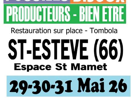 MINERAUX FOSSILES BIJOUX