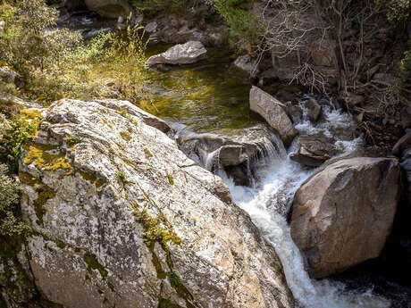 AMELIE-LES-BAINS - MONTALBA VIA LE PONT DE RIUBANYS