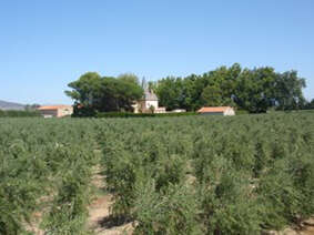 LE MOULIN SAINT PIERRE
