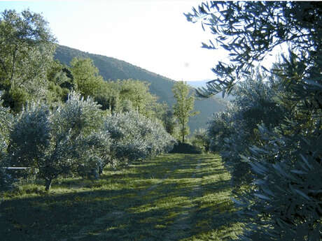 LE MOULIN DES AUXELLES