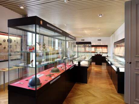 UN PEUPLE PAS SI MINUSCULE, LES INSECTES