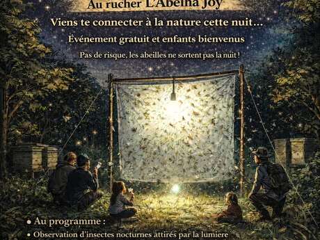 LA NUIT DES INSECTES AU RUCHER - PÉZILLA DE CONFLENT