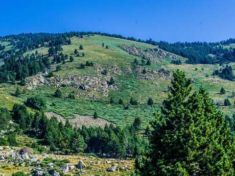 LES SENTIERS DE CLAIRE : LE CAMI RAMADER DANS LA VALLEE DE NOHEDES