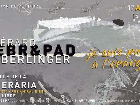 JE SUIS PASSÉ À L'ORANGE - GÉRARD OBERLINGER 