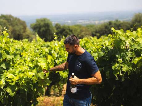 OENO-BALADE AVEC LE DOMAINE DEPRADE-JORDA