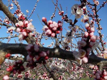 LE SENTIER DU TERROIR
