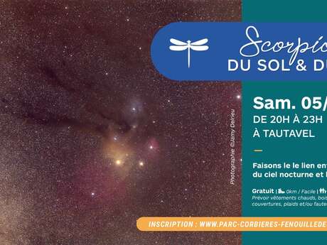 SCORPIONS DU SOL ET DU CIEL, SORTIE NOCTURNE