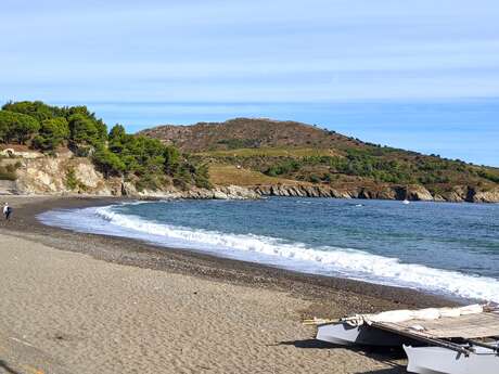 EXPOSITION "365 JOURS A PAULILLES"