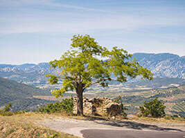 BOUCLE DU PIC AUBEIL