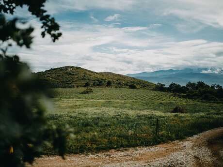 DOMAINE CLOT DE L'OUM