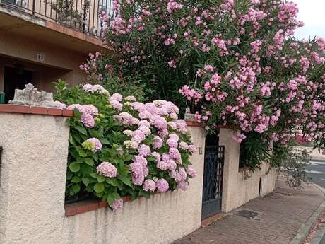 APPARTEMENT T2 PROCHE DES THERMES