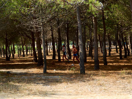 PARCOURS FORESTIER ET DE SANTE