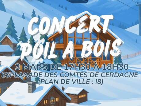 WINTER FAMILY WEEK - CONCERT POIL À BOIS