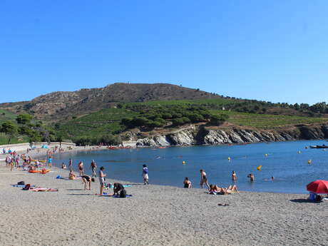 PLAGE BERNARDI