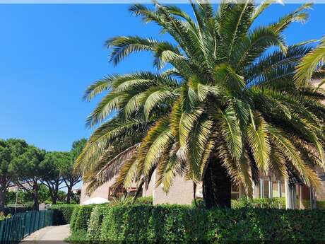 LE RIVAGE 237 - MEUBLE TOUT CONFORT AVEC PISCINE