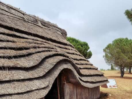CONFÉRENCE : "LA REPRÉSENTATION DE LA SORCIÈRE ET DE LA MAGICIENNE DU XVIE SIÈCLE À NOS JOURS EN EUROPE OCCIDENTALE"
