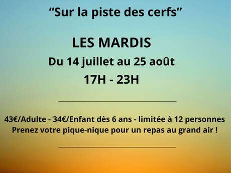 RANDO SOLEIL COUCHANT "SUR LA PISTE DES CERFS"