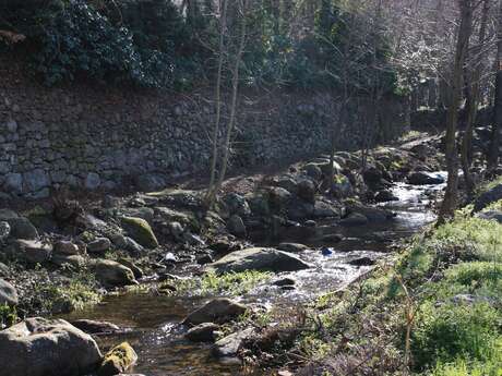 LA RANDONNEE DES ENFANTS FAUNE ET FLORE