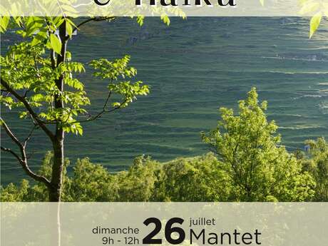 SHINRIN YOKU : BAIN DE FORÊT ET HAÏKU À MANTET