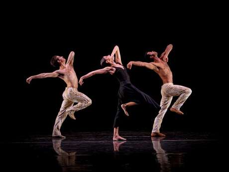 SÃO PAULO DANCE COMPANY