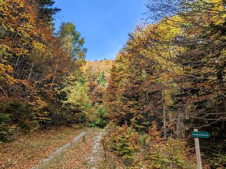 PR40 : MOSSET - SENTIER DECOUVERTE DES 5 SENS