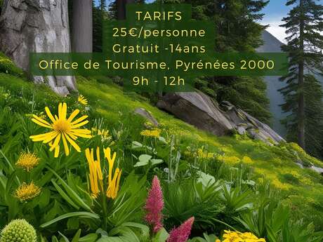 SORTIES PLANTES MEDICINALES DES PYRENEES