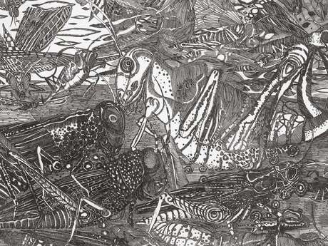 TRENTE ANS DE GRAVURES