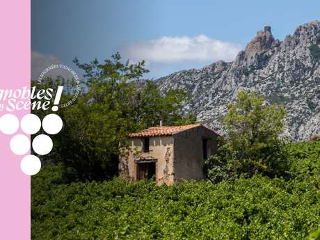 VIGNOBLES EN SCENE - REPAS VIGNERON CHEZ MAS PEYRE