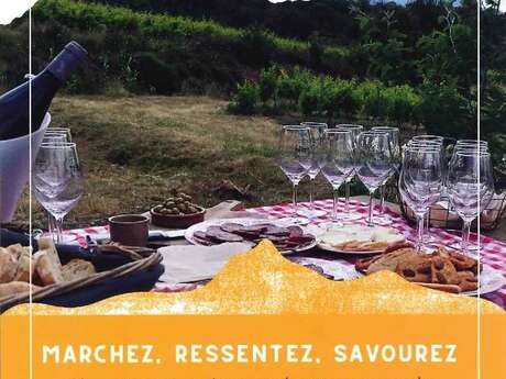 VIGNERON D'UN JOUR - VINO ENIGMA VIGNERON D'UN JOUR - VINO ENIGMA