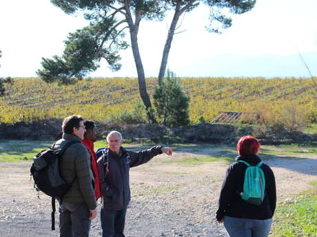 BALADE VINOHRANDO BANYULS-SUR-MER