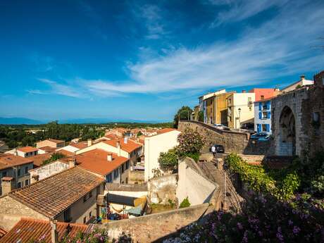 VISITE GUIDEE "ELNE HISTORIQUE"