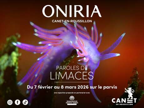 ONIRIA - EXPOSITION XXL « PAROLES DE LIMACES »