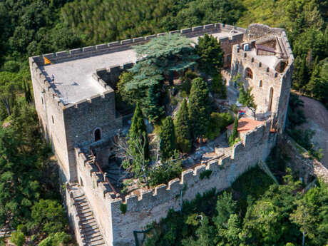 CHATEAU DE CASTELNOU