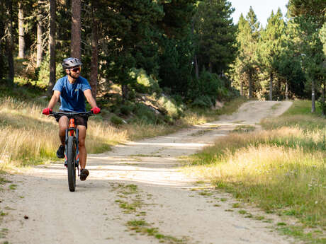 LES CRÊTES DU PLA DEL BOUC ( VTT 40 )