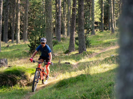 LE CORTAL ( VTT 16 )